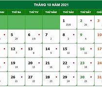 Ngày 8 Tháng 10 Năm 2024 Có Mưa Không